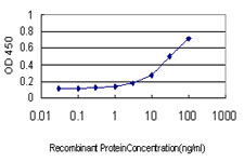 Ghrelin Antibody - Detection limit for recombinant GST tagged GHRL is approximately 1 ng/ml as a capture antibody.