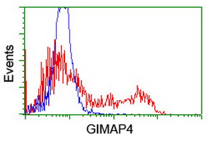 GIMAP4 Antibody - HEK293T cells transfected with either overexpress plasmid (Red) or empty vector control plasmid (Blue) were immunostained by anti-GIMAP4 antibody, and then analyzed by flow cytometry.