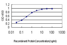 GMEB1 Antibody - Detection limit for recombinant GST tagged GMEB1 is approximately 0.03 ng/ml as a capture antibody.