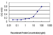 GNAI1 / Gi Antibody - Detection limit for recombinant GST tagged GNAI1 is approximately 1 ng/ml as a capture antibody.