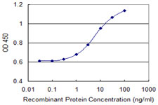 GOB5 / CLCA1 Antibody - Detection limit for recombinant GST tagged CLCA1 is 0.3 ng/ml as a capture antibody.