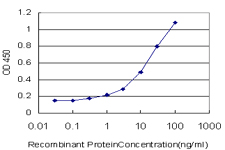 GOK / STIM1 Antibody - Detection limit for recombinant GST tagged STIM1 is approximately 0.3 ng/ml as a capture antibody.