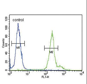 GPM6A / Glycoprotein M6A Antibody - GPM6A Antibody flow cytometry of 293 cells (right histogram) compared to a negative control cell (left histogram). FITC-conjugated goat-anti-rabbit secondary antibodies were used for the analysis.