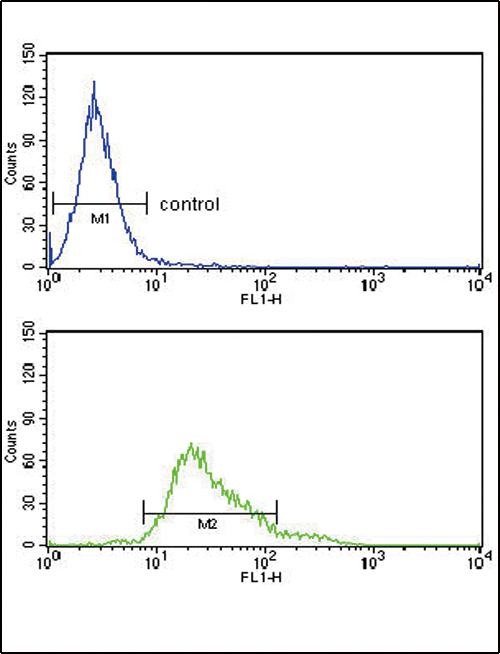 GPX1 / Glutathione Peroxidase Antibody - GPX1 Antibody flow cytometry of HeLa cells (bottom histogram) compared to a negative control cell (top histogram). FITC-conjugated goat-anti-rabbit secondary antibodies were used for the analysis.