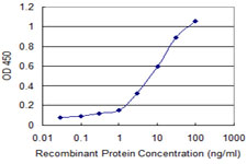 GRM1 / MGLUR1 Antibody - Detection limit for recombinant GST tagged GRM1 is 0.1 ng/ml as a capture antibody.