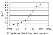 GSN / Gelsolin Antibody - Detection limit for recombinant GST tagged GSN is approximately 0.03 ng/ml as a capture antibody.