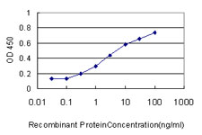 GSTA3 Antibody - Detection limit for recombinant GST tagged GSTA3 is approximately 0.3 ng/ml as a capture antibody.