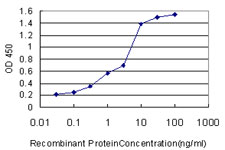HADH Antibody - Detection limit for recombinant GST tagged HADHSC is approximately 0.03 ng/ml as a capture antibody.