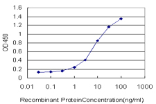 HDAC1 Antibody - Detection limit for recombinant GST tagged HDAC1 is approximately 0.1 ng/ml as a capture antibody.