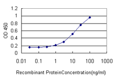 HDAC1 Antibody - Detection limit for recombinant GST tagged HDAC1 is approximately 1 ng/ml as a capture antibody.
