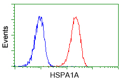 Heat Shock Protein 70 / HSPA1A Antibody - Flow cytometry of Jurkat cells, using anti-HSPA1A antibody, (Red) compared to a nonspecific negative control antibody (Blue).