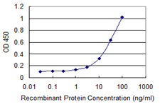 HEDLS / EDC4 Antibody - Detection limit for recombinant GST tagged EDC4 is 0.3 ng/ml as a capture antibody.
