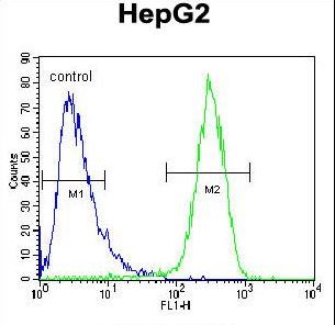 HEXA Antibody - HEXA Antibody flow cytometry of HepG2 cells (right histogram) compared to a negative control cell (left histogram). FITC-conjugated goat-anti-rabbit secondary antibodies were used for the analysis.