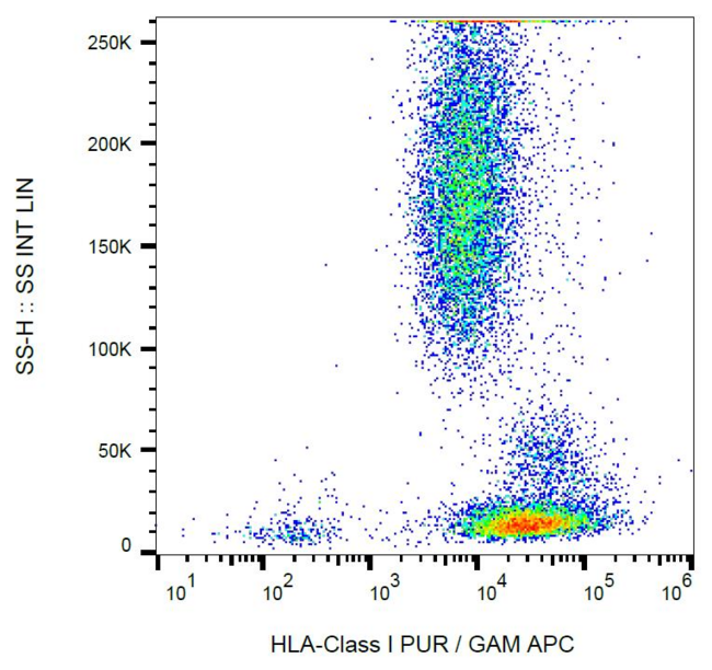 HLA-A/B/C Antibody - Surface staining of human peripheral blood with anti-HLA-class I (MEM-123) purified, GAM-APC.