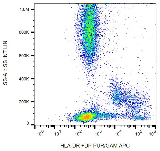 HLA-DP/DR Antibody - Surface staining of human peripheral blood with anti-HLA-DR+DP (HL-38) purified, GAM-APC.