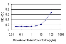 HMG1 / HMGB1 Antibody - Detection limit for recombinant GST tagged HMGB1 is approximately 3 ng/ml as a capture antibody.