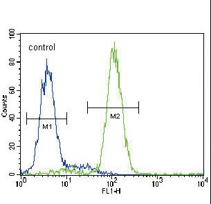 HMGCS2 / HMG-CoA Synthase 2 Antibody - HMGCS2 Antibody flow cytometry of HepG2 cells (right histogram) compared to a negative control cell (left histogram). FITC-conjugated goat-anti-rabbit secondary antibodies were used for the analysis.