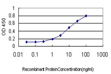HMOX1 / HO-1 Antibody - Detection limit for recombinant GST tagged HMOX1 is approximately 0.3 ng/ml as a capture antibody.