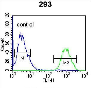 HOPX / HOP Antibody - HOPX Antibody flow cytometry of 293 cells (right histogram) compared to a negative control cell (left histogram). FITC-conjugated goat-anti-rabbit secondary antibodies were used for the analysis.