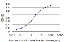 HOXB7 Antibody - Detection limit for recombinant GST tagged HOXB7 is approximately 0.03 ng/ml as a capture antibody.