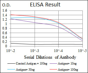 HSP90AA1 / Hsp90 Alpha A1 Antibody - Red: Control Antigen (100ng); Purple: Antigen (10ng); Green: Antigen (50ng); Blue: Antigen (100ng);
