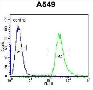 HSP90B1 / GP96 / GRP94 Antibody - HSP90B1 Antibody flow cytometry of A549 cells (right histogram) compared to a negative control cell (left histogram). FITC-conjugated goat-anti-rabbit secondary antibodies were used for the analysis.