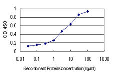 HSPB7 / CvHSP Antibody - Detection limit for recombinant GST tagged HSPB7 is approximately 0.1 ng/ml as a capture antibody.