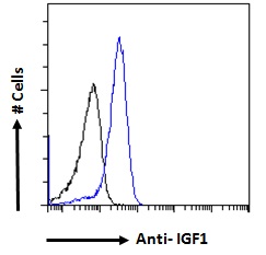 IGF1 Antibody - IGF1 Antibody Flow cytometric analysis of paraformaldehyde fixed A549 cells (blue line), permeabilized with 0.5% Triton. Primary incubation 1hr (10ug/ml) followed by Alexa Fluor 488 secondary antibody (1ug/ml). IgG control: Unimmunized goat IgG (black line) followed by Alexa Fluor 488 secondary antibody.