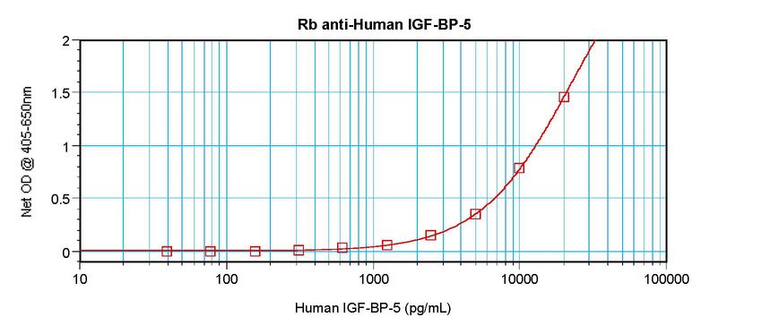 IGFBP5 Antibody - Sandwich ELISA of IGFBP-5 antibody
