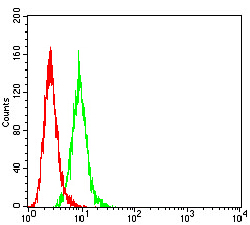 IGHM / IgM Antibody - Flow cytometric analysis of HeLa cells using IGHM mouse mAb (green) and negative control (red).