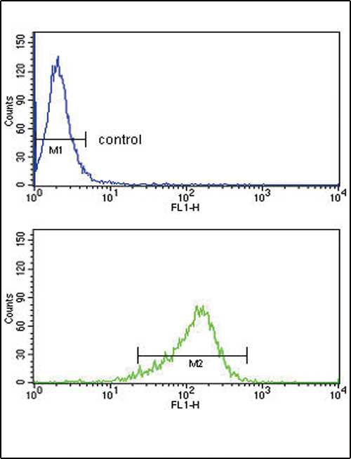 IL12A / p35 Antibody - IL12A Antibody flow cytometry of MDA-MB231 cells (bottom histogram) compared to a negative control cell (top histogram). FITC-conjugated goat-anti-rabbit secondary antibodies were used for the analysis.