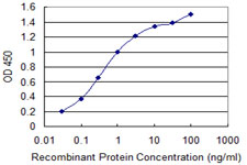 IL1F9 Antibody - Detection limit for recombinant GST tagged IL1F9 is 0.03 ng/ml as a capture antibody.