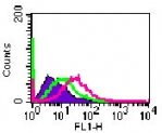 IL20RA Antibody - Cell-surface flow cytometry analysis of IL-20RA in A375 cells using antibody at 5 ug/10^6 cells.  The shaded histogram represents cells only, green represents isotype control, and purple represents anti-IL-20RA antibody.
