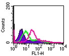 IL24 Antibody - Cell-surface flow cytometry analysis of IL-24 in Jurkat cells using antibody at 5 ug/10^6 cells.  The shaded histogram represents cells only, green represents isotype control, and purple represents anti-IL-24 antibody.