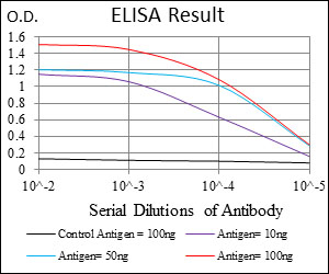 IL3RA / CD123 Antibody - Red: Control Antigen (100ng); Purple: Antigen (10ng); Green: Antigen (50ng); Blue: Antigen (100ng);