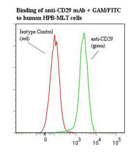 ITGB1 / Integrin Beta 1 / CD29 Antibody - Flow cytometry of ITGB1 / Integrin Beta 1 / CD29 antibody This image was taken for the unmodified form of this product. Other forms have not been tested.