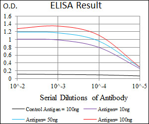 ITGB4 / Integrin Beta 4 Antibody - Red: Control Antigen (100ng); Purple: Antigen (10ng); Green: Antigen (50ng); Blue: Antigen (100ng);
