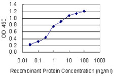 KCNJ5 / Kir3.4 / GIRK4 Antibody - Detection limit for recombinant GST tagged KCNJ5 is 0.03 ng/ml as a capture antibody.