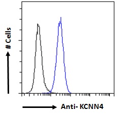 KCNN4 / KCa3.1 Antibody - Goat Anti-KCNN4 Antibody Flow cytometric analysis of paraformaldehyde fixed HEK293 cells (blue line), permeabilized with 0.5% Triton. Primary incubation overnight at 4°C (10ug/ml) followed by Alexa Fluor 488 secondary antibody (1ug/ml). IgG control: Unimmunized goat IgG (black line) followed by Alexa Fluor 488 secondary antibody.