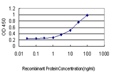 KDM1A / LSD1 Antibody - Detection limit for recombinant GST tagged AOF2 is approximately 0.3 ng/ml as a capture antibody.