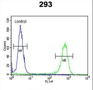 KDM7A / JHDM1D Antibody - JHDM1D Antibody flow cytometry of 293 cells (right histogram) compared to a negative control cell (left histogram). FITC-conjugated goat-anti-rabbit secondary antibodies were used for the analysis.