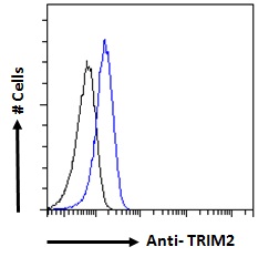 KIAA0517 / TRIM2 Antibody - TRIM2 Antibody Flow cytometric analysis of paraformaldehyde fixed Jurkat cells (blue line), permeabilized with 0.5% Triton. Primary incubation overnight (10ug/ml) followed by Alexa Fluor 488 secondary antibody (1ug/ml). IgG control: Unimmunized goat IgG (black line) followed by Alexa Fluor 488 secondary antibody.