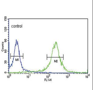 KLF5 / BTEB2 Antibody - KLF5 Antibody flow cytometry of HeLa cells (right histogram) compared to a negative control cell (left histogram). FITC-conjugated goat-anti-rabbit secondary antibodies were used for the analysis.