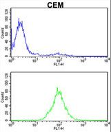 KPNB1 / Importin Beta Antibody - KPNB1 Antibody flow cytometry of CEM cells (bottom histogram) compared to a negative control cell (top histogram). FITC-conjugated goat-anti-rabbit secondary antibodies were used for the analysis.