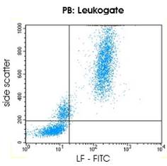LF / LTF / Lactoferrin Antibody - LF / LTF / Lactoferrin3
