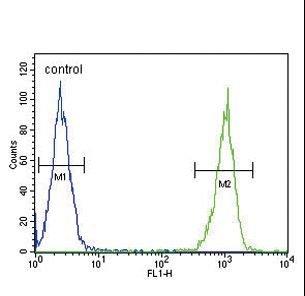 LF / LTF / Lactoferrin Antibody - LTF Antibody flow cytometry of MDA-MB231 cells (right histogram) compared to a negative control cell (left histogram). FITC-conjugated goat-anti-rabbit secondary antibodies were used for the analysis.
