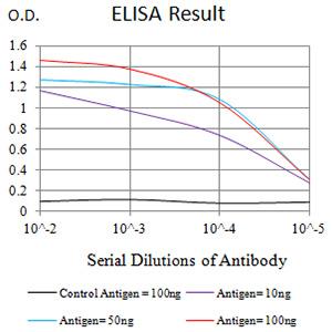 LILRB2 / ILT4 Antibody - Black line: Control Antigen (100 ng);Purple line: Antigen (10ng); Blue line: Antigen (50 ng); Red line:Antigen (100 ng)