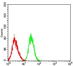 LILRB2 / ILT4 Antibody - Flow cytometric analysis of HL-60 cells using LILRB2 mouse mAb (green) and negative control (red).
