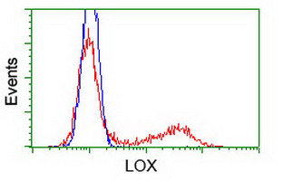 LOX / Lysyl Oxidase Antibody - HEK293T cells transfected with either pCMV6-ENTRY LOX (Red) or empty vector control plasmid (Blue) were immunostained with anti-LOX mouse monoclonal(Dilution 1:1,000), and then analyzed by flow cytometry.