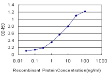 LRIT3 Antibody - Detection limit for recombinant GST tagged LRIT3 is approximately 0.1 ng/ml as a capture antibody.